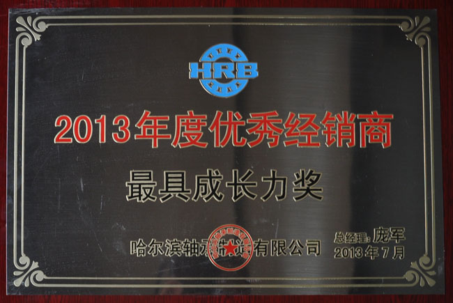 2013年度优秀经销商